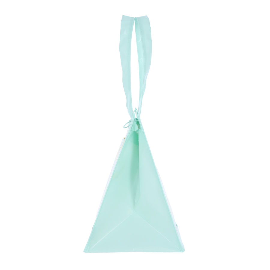 ポケモン キャリーオンできるお土産バッグ｜和柄パステル ピカチュウ